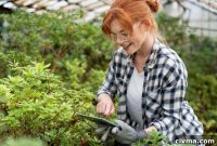 All in One Lawn Care Software for Small Teams