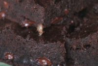 Fudgy Brownie Recipe with a Gooey Chocolate Center