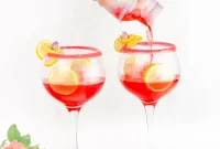 Pink Gin Fizz Cocktail Recipe