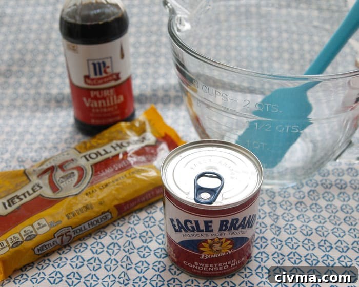 3 minute fudge ingredients A can of sweetened condensed milk, a bag of chocolate chips, and a bottle of vanilla extract sit next to a glass bowl with a blue spatula.