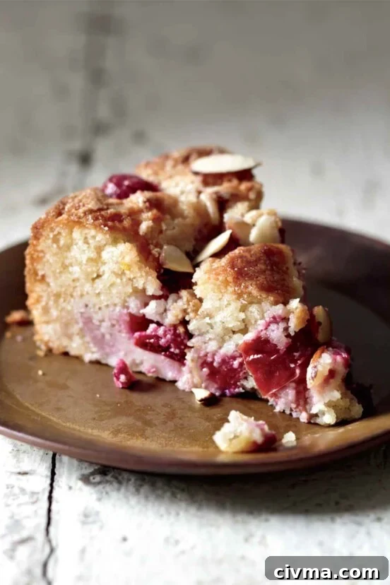 German Plum Cake Recipe 4 A slice of plum almond cake on a brown ceramic plate.