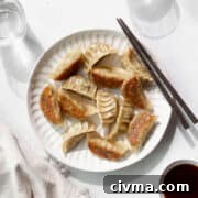 Square hero shot of vegetable gyoza on a white plate with wooden chopsticks.