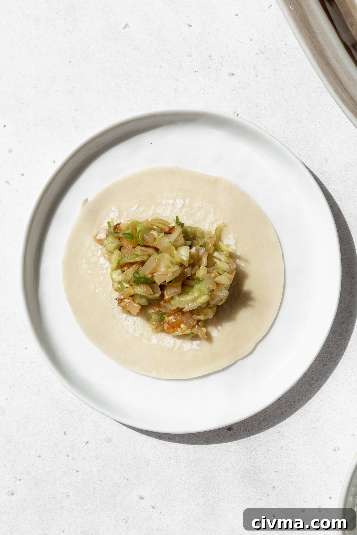 A spoonful of vegetable filling on a gyoza wrapper with the edges moistened with water.