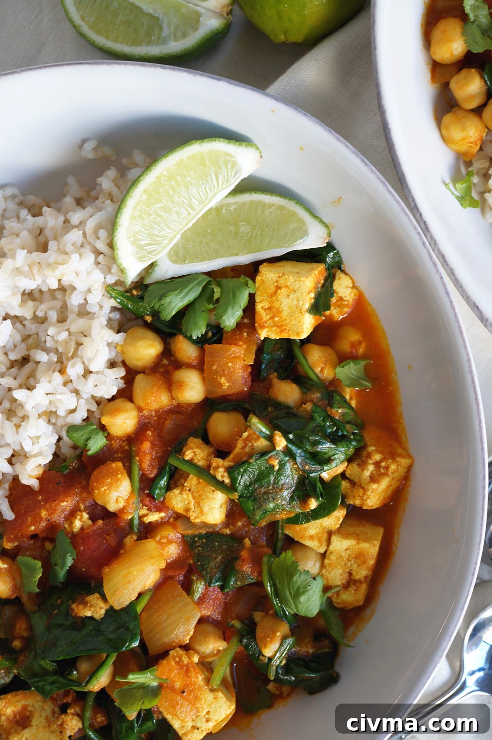 close up of vegan chickpea curry plate