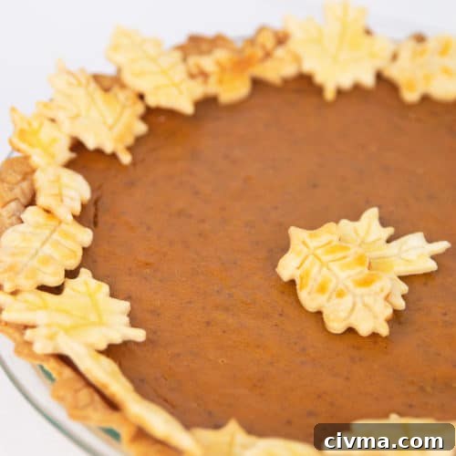 a pumpkin pie in a glass pan with leaf cut outs of crust