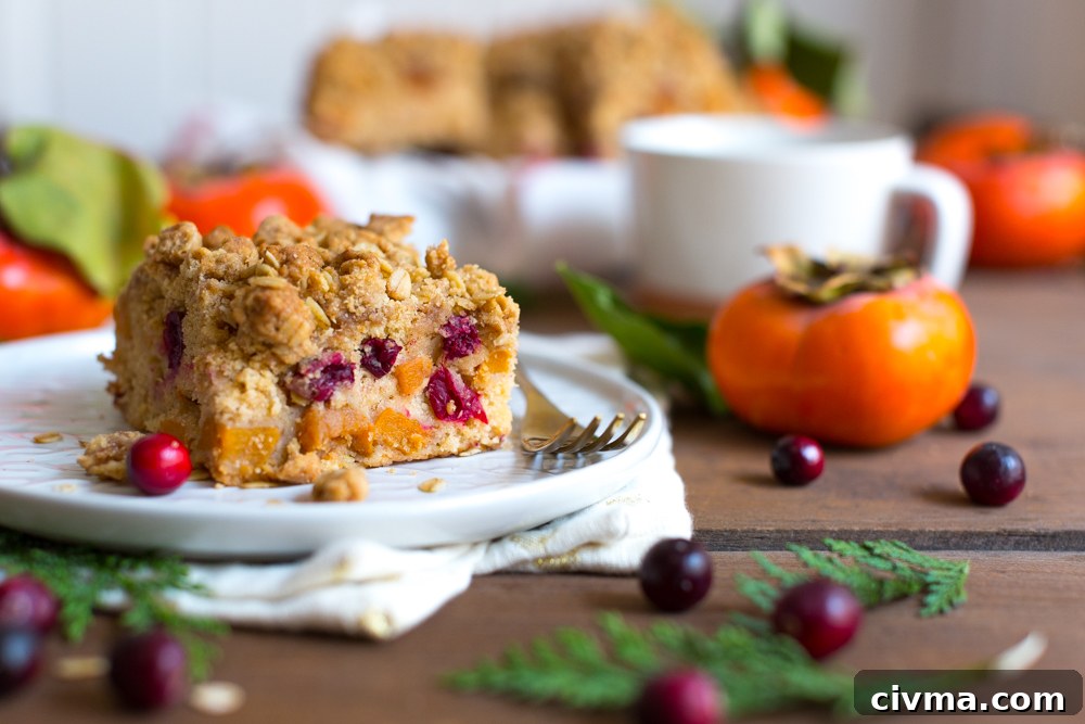 Persimmon Cranberry Crumb Cake slice - wide
