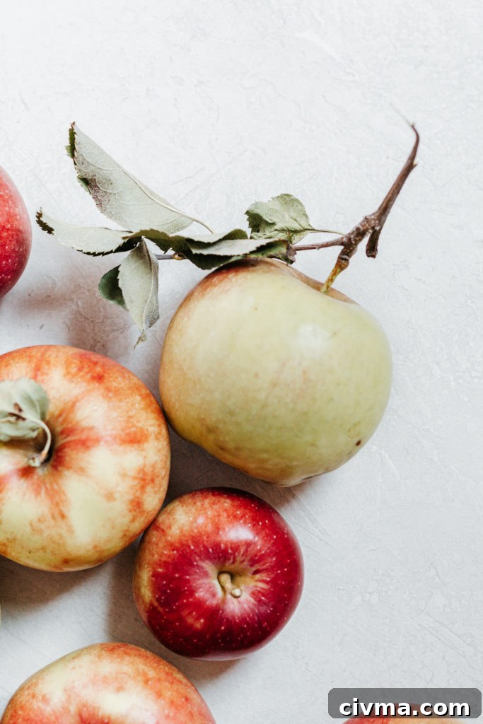 Easy Healthy Vegan Gluten Free Homemade Maple Cinnamon Apple Crisp Recipe