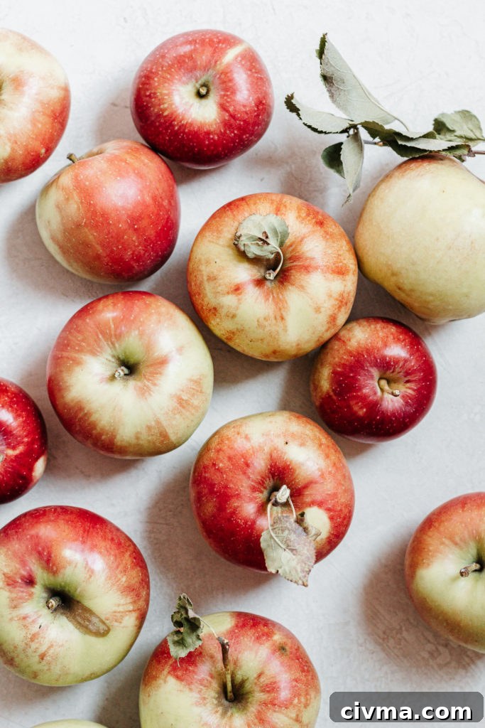 Easy Healthy Vegan Gluten Free Homemade Maple Cinnamon Apple Crisp Recipe