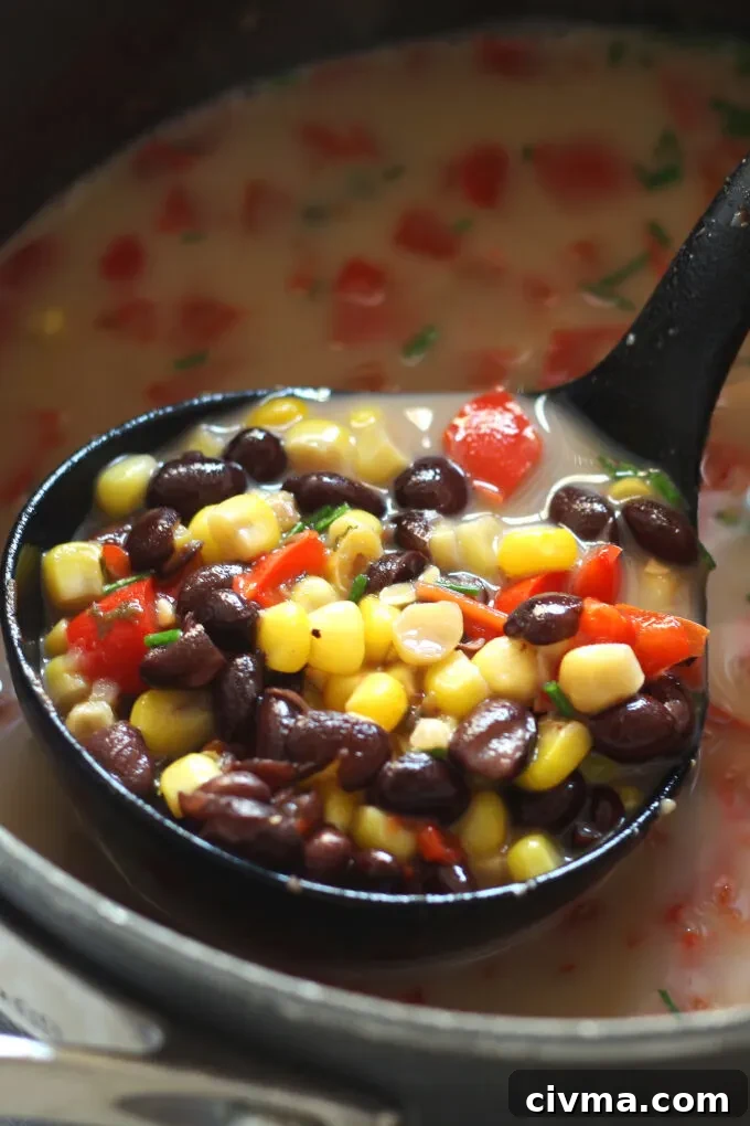 pot of black bean corn chowder with a ladle full of the soup hovering above