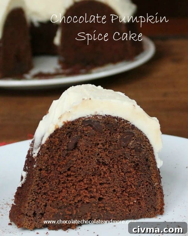 Chocolate Pumpkin Spice Cake