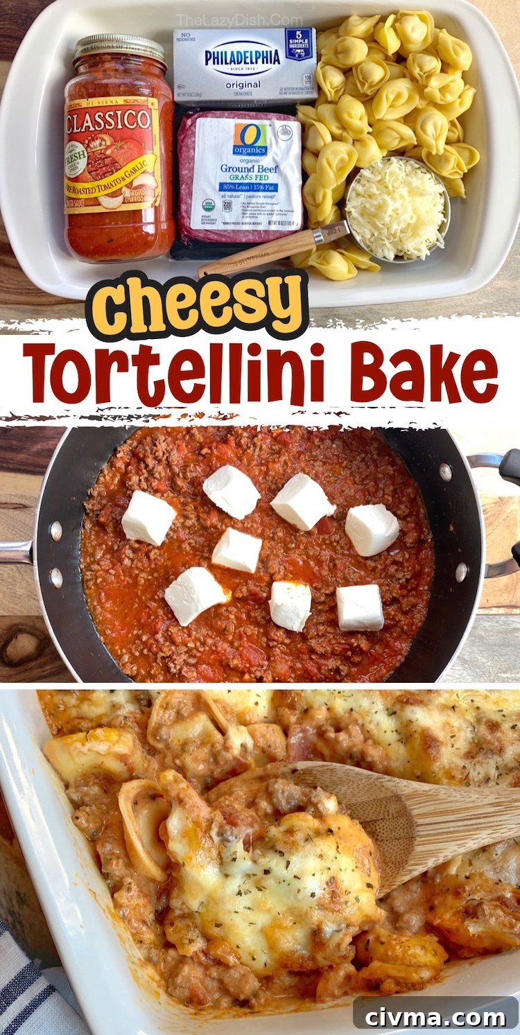 If you want to impress your family with a yummy dinner recipe, try this easy cheesy meat sauce and pasta casserole. It is made with refrigerated or frozen tortellini, ground beef, pasta sauce, cream cheese, and lots of gooey mozzarella. Once baked, it gets a toasty cheese topping, creating comforting weeknight meal.
