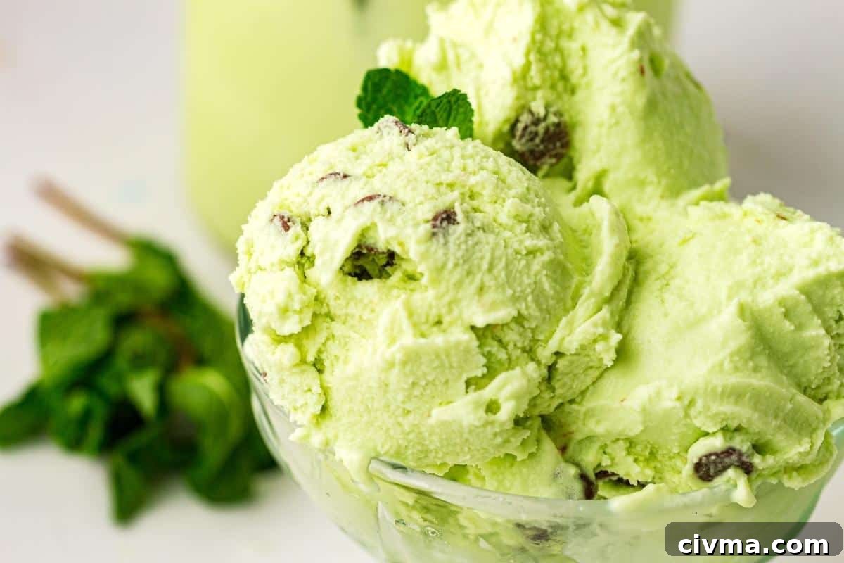 Three scoops of mint chocolate chip ice cream in a glass bowl, with chocolate pieces visible and a sprig of mint in the background.