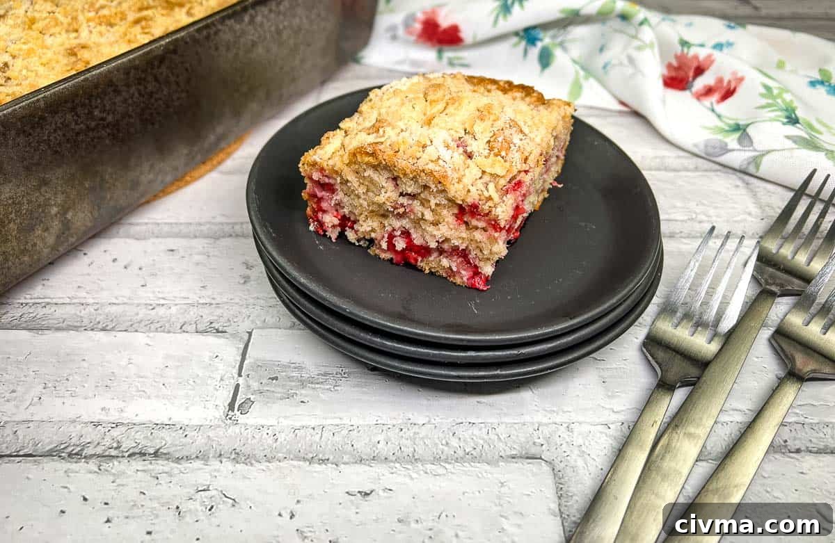 A piece of raspberry crumb cake on a plate.