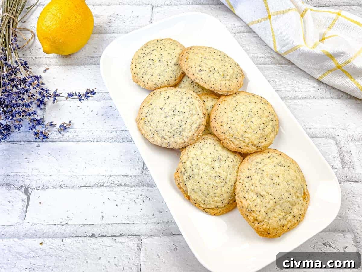 A top-down shot of Lemon Poppy Seed Cookies on a white plate.
