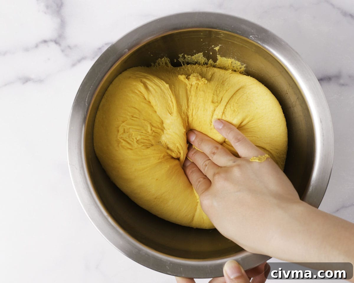 Soft Pumpkin Dinner Rolls Recipe 13 Pumpkin dough divided into pieces.