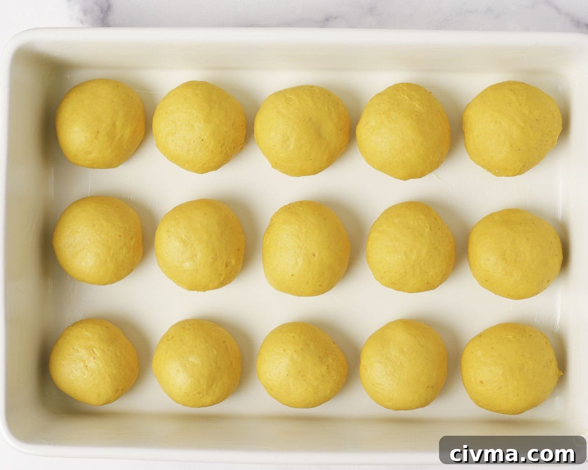 Soft Pumpkin Dinner Rolls Recipe 17 Pumpkin dinner rolls before the second proof.