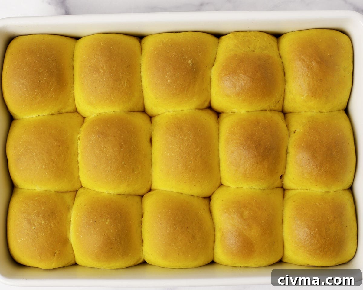 Soft Pumpkin Dinner Rolls Recipe 20 Baked pumpkin dinner rolls in a pan.