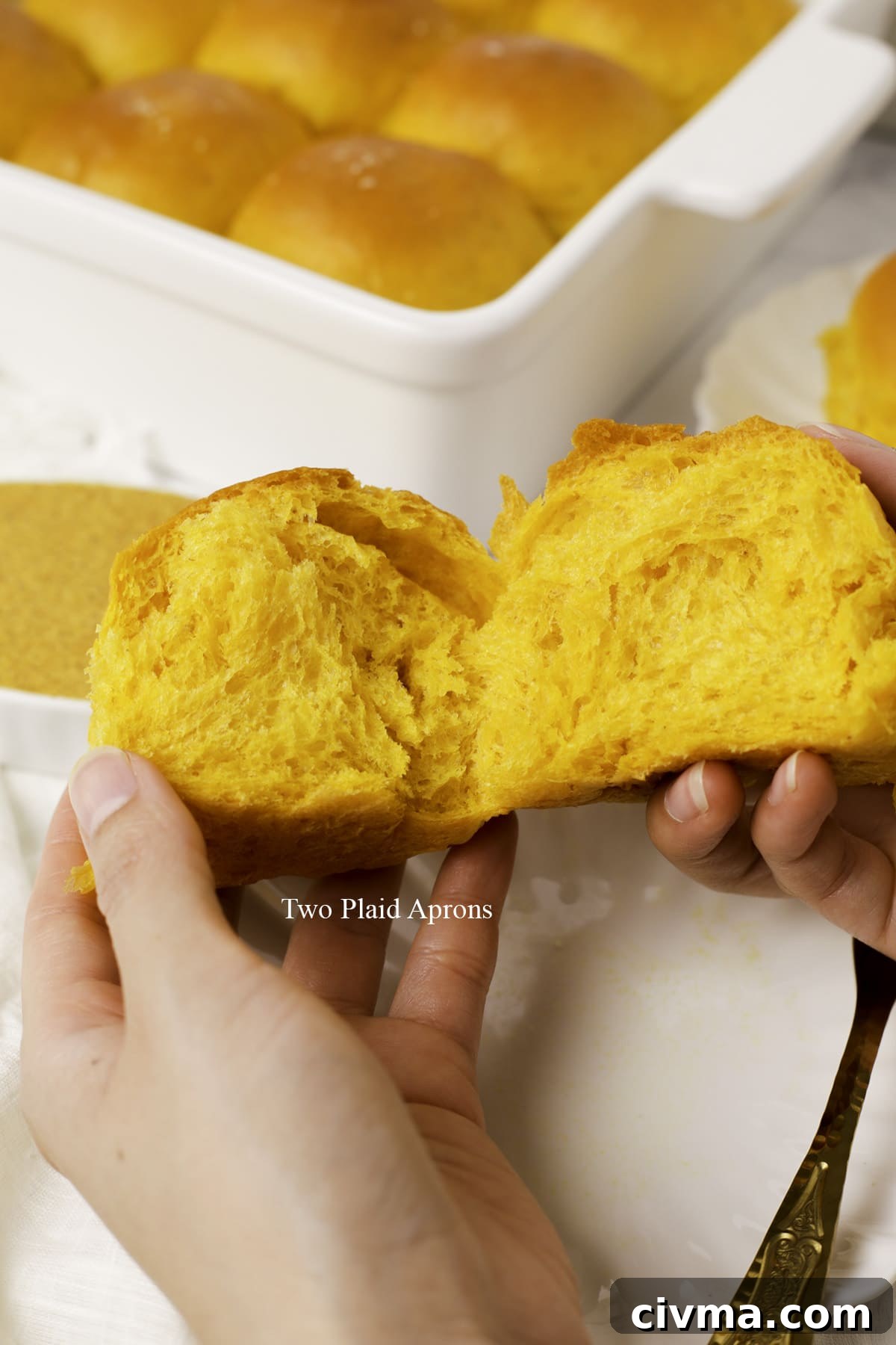 Soft Pumpkin Dinner Rolls Recipe 3 Pumpkin dinner rolls served warm.