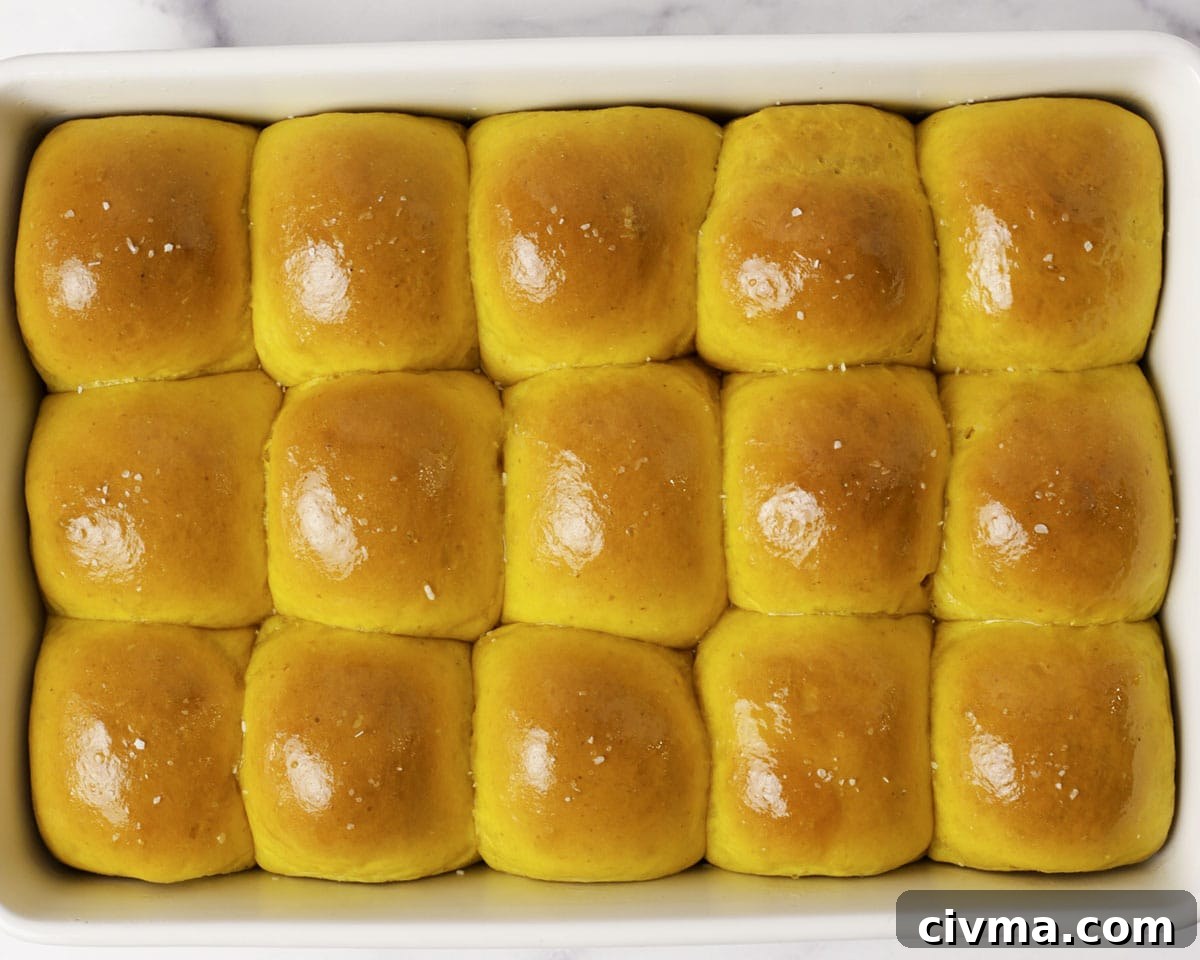 Soft Pumpkin Dinner Rolls Recipe 22 Soft pumpkin dinner rolls ready to serve.