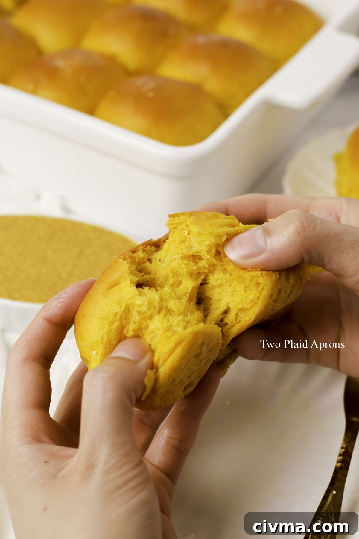 Soft Pumpkin Dinner Rolls Recipe 23 Close-up of fluffy pumpkin dinner rolls.
