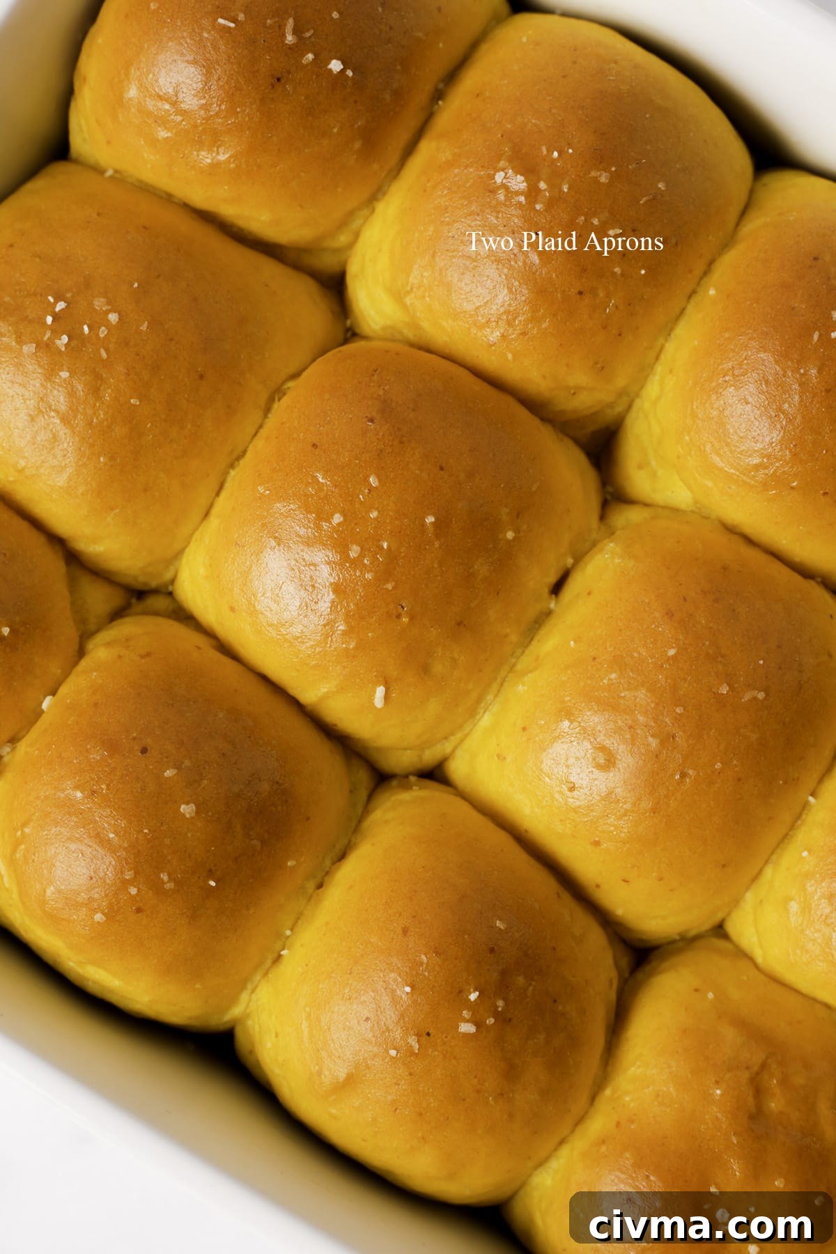 Soft Pumpkin Dinner Rolls Recipe 24 Pumpkin dinner rolls stored for later.