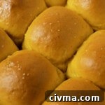 Soft Pumpkin Dinner Rolls Recipe 26 Close-up of pumpkin dinner rolls.