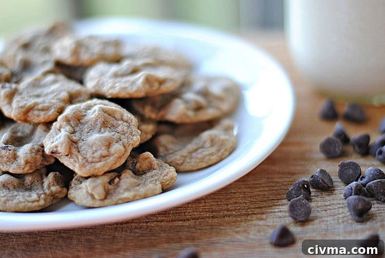 Bite-sized skinny chocolate chip cookies