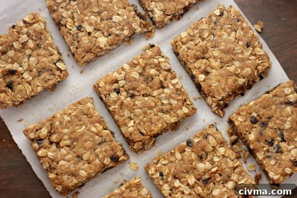 Brown Butter Oatmeal Currant Cookie Bars cut into squares.