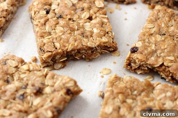 Brown Butter Oatmeal Currant Cookie Bars cut into squares.