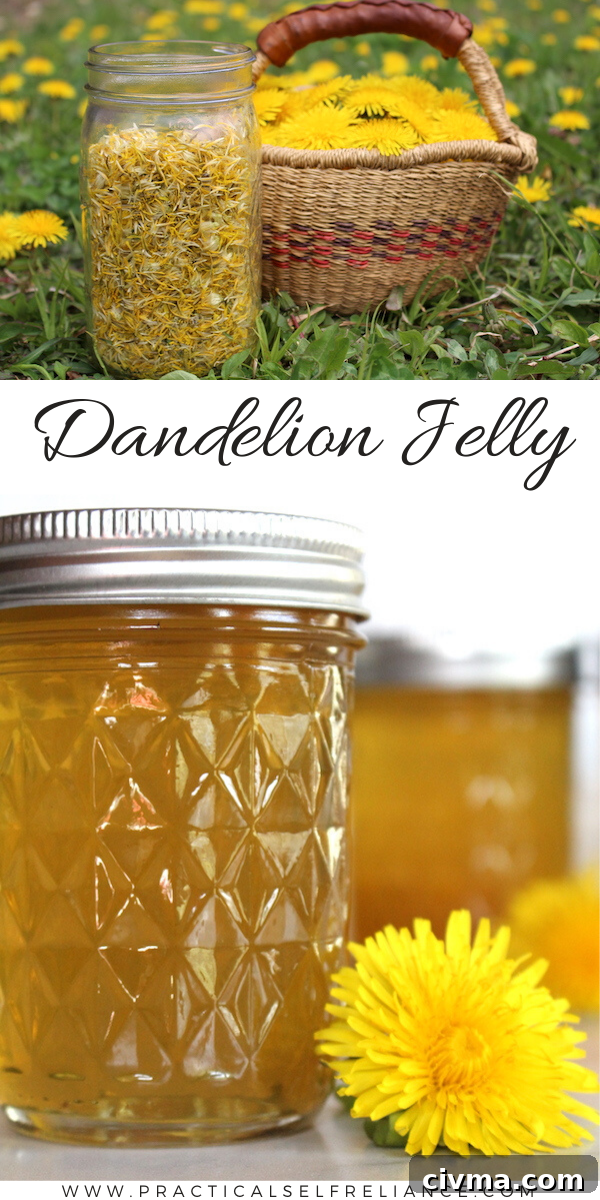 Dandelion Jelly Recipe ~ Learn how to make your own flavorful floral jelly from backyard dandelions.