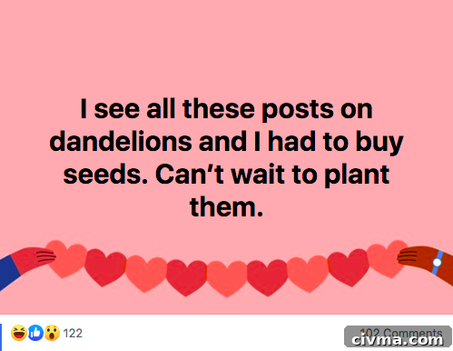 Planting Dandelions