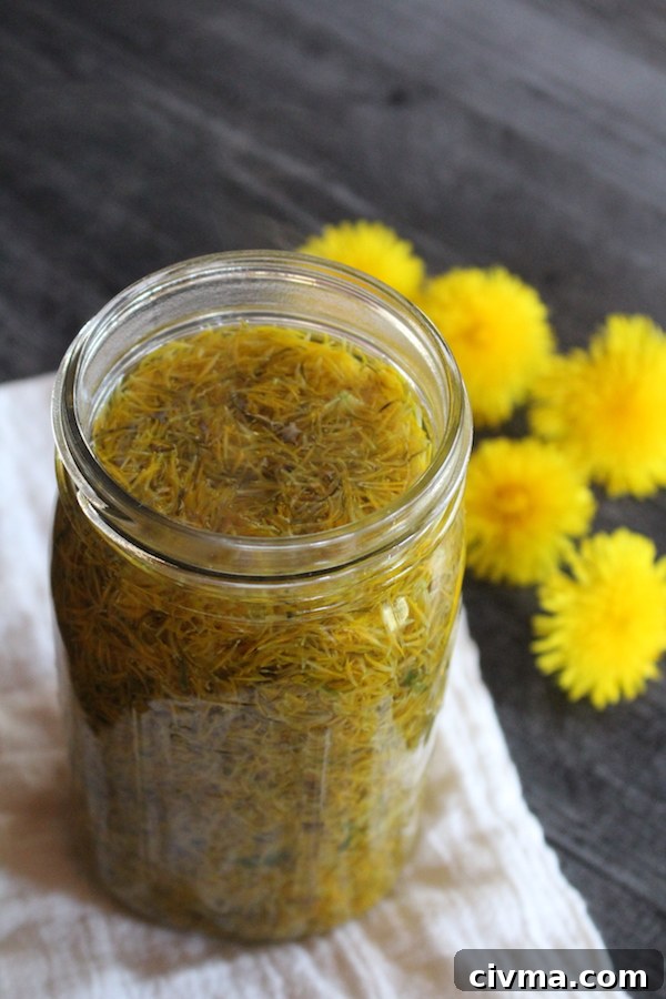 Making dandelion tea in a quart mason jar, a good way to measure 4 cups of petals and dandelion tea for making dandelion jelly