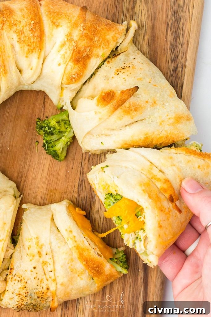 Cheesy Chicken Broccoli Crescent Ring 3 Cheesy Chicken and Broccoli Ring served as an appetizer, lunch, or dinner