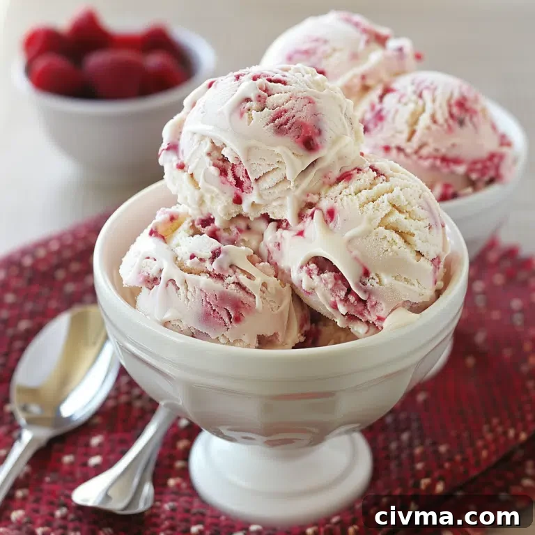 White Chocolate Raspberry Ice Cream - bowl