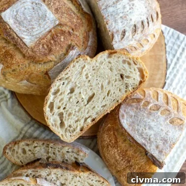 How to Reduce Sourness in Sourdough Bread 6 A few loaves of sourdough bread scattered on a counter with one loaf sliced open to show the crumb.