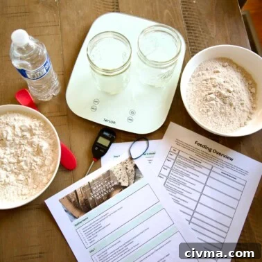 How to Reduce Sourness in Sourdough Bread 7 A table filled with items needed to make a sourdough starter from scratch.