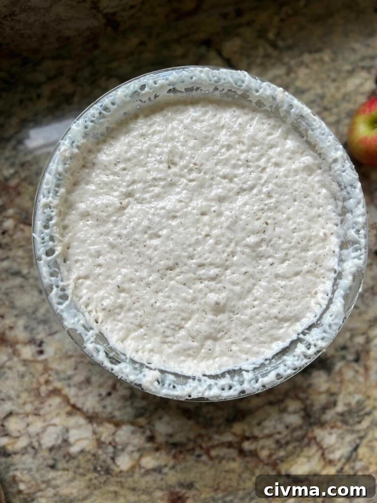 How to Reduce Sourness in Sourdough Bread 3 A bowl of sourdough starter is bubbly and shows evidence of having risen and fallen.