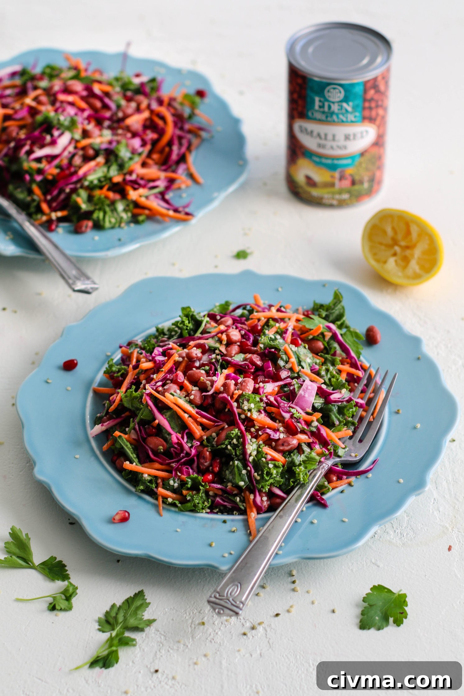 Red Bean and Pomegranate Salad Recipe 6 Red Bean & Pomegranate Salad served on blue plate with Yogurt Tahini Dressing and fork topped with herbs and hemp hearts