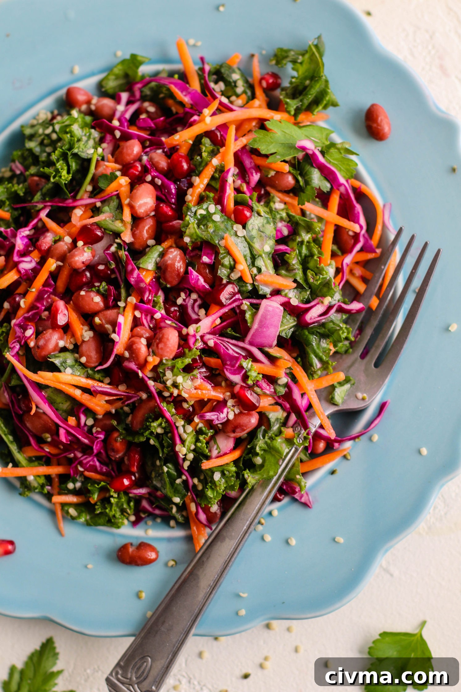 Red Bean and Pomegranate Salad Recipe 7 Red Bean & Pomegranate Salad served on blue plate with Yogurt Tahini Dressing and fork topped with herbs and hemp hearts