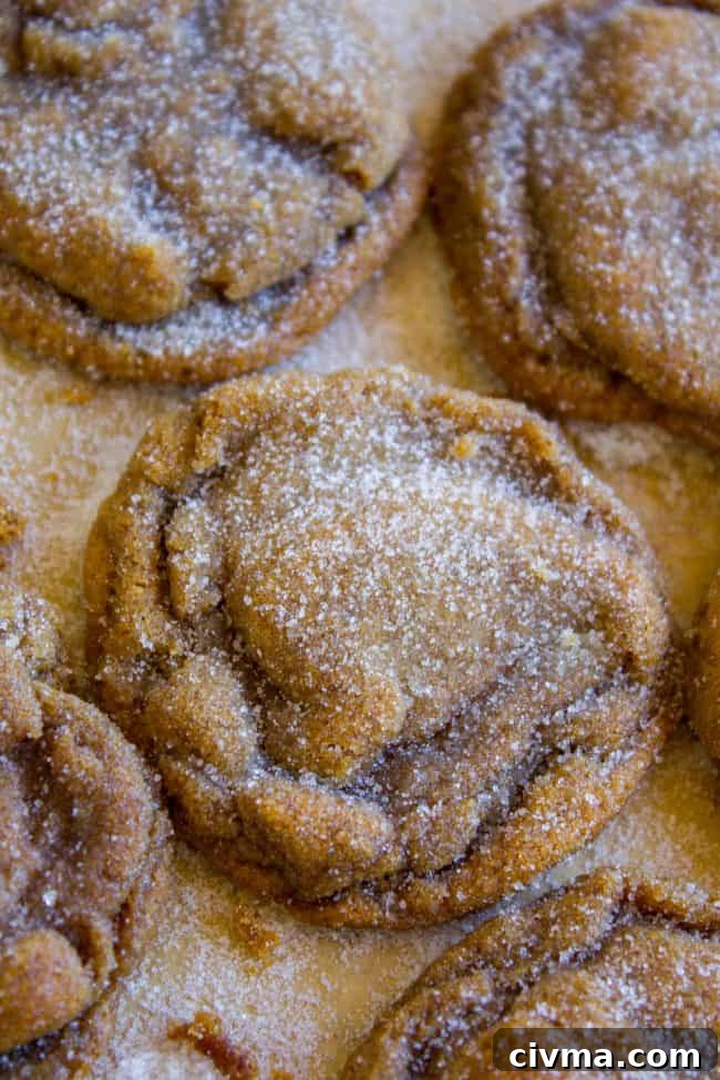 Molasses cookies rolled in sugar on a parchment-lined baking sheet.