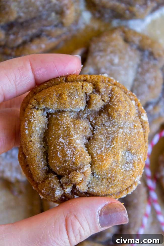 Hand holding a sugar-rolled molasses cookie.
