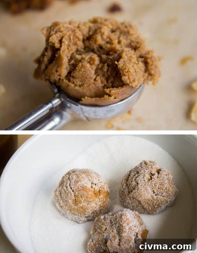 Molasses cookie dough in a scoop and dough balls being rolled in sugar.