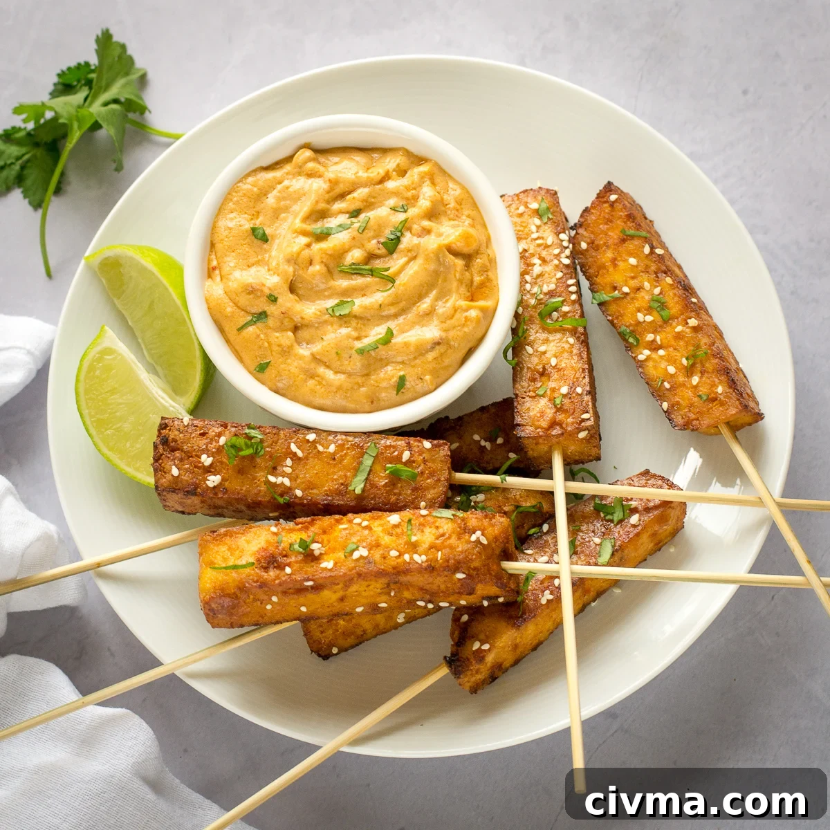 Easy Satay Tofu