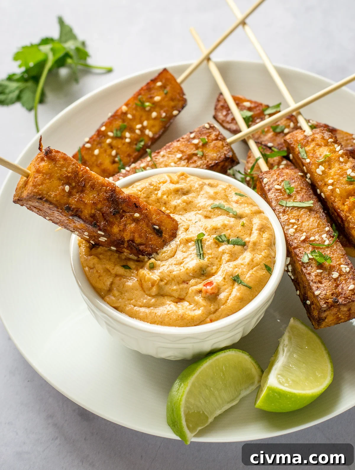 Satay Tofu with peanut sauce