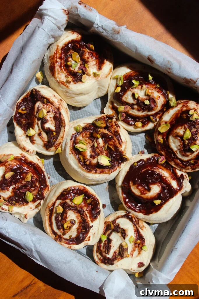 Rolled cinnamon rolls in pan