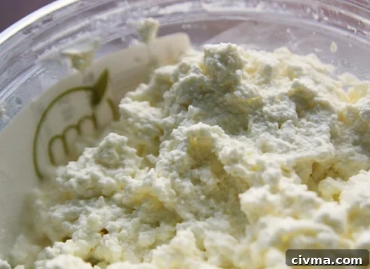 ricottacheese