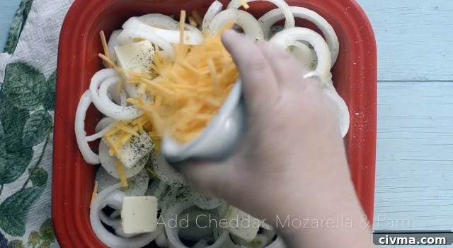 Cheese sprinkled on top of onions.