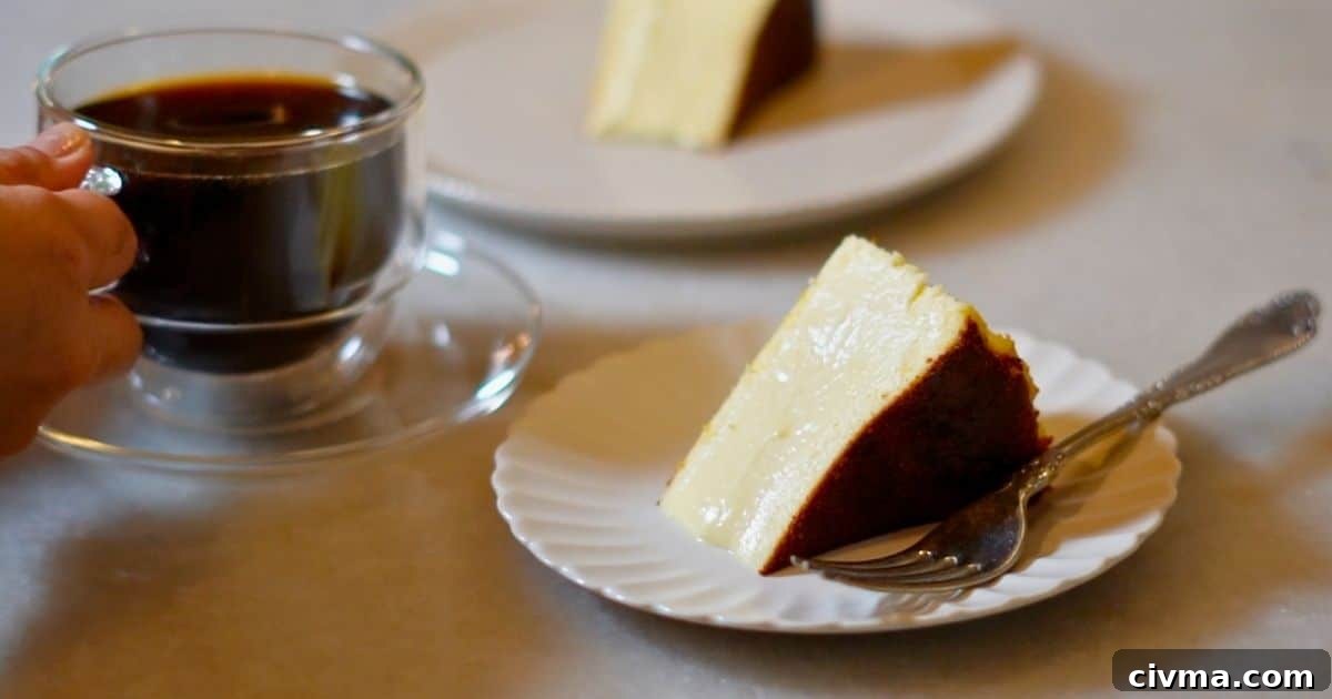Basque Burnt Cheesecake Recipe 12 slices of creamy Basque cheesecake with a cup of coffee