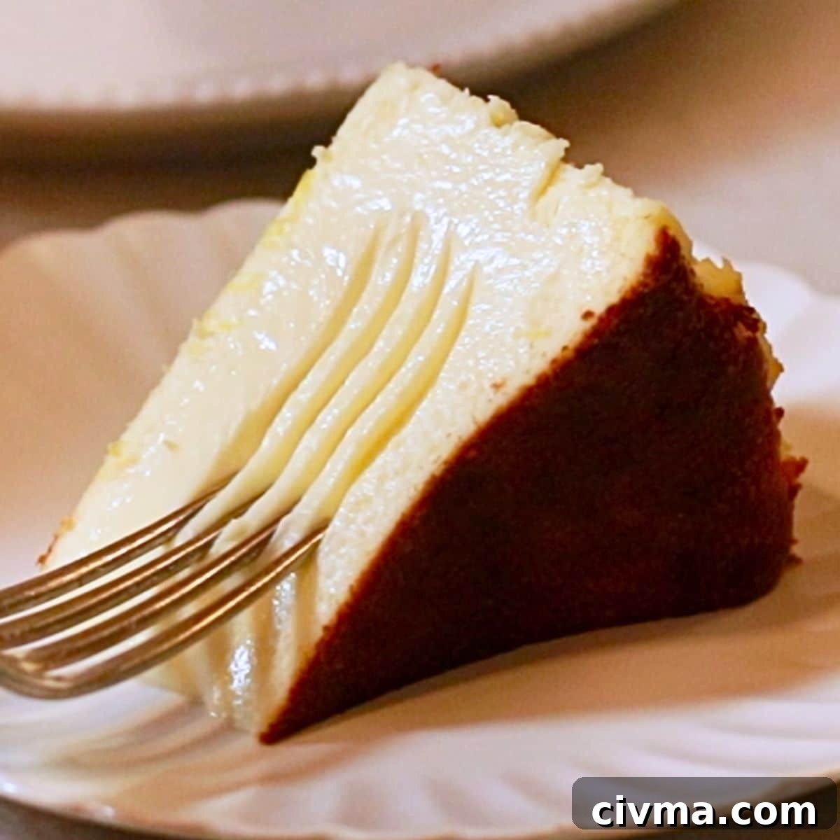Basque Burnt Cheesecake Recipe 14 a slice of Basque cheesecake with a fork