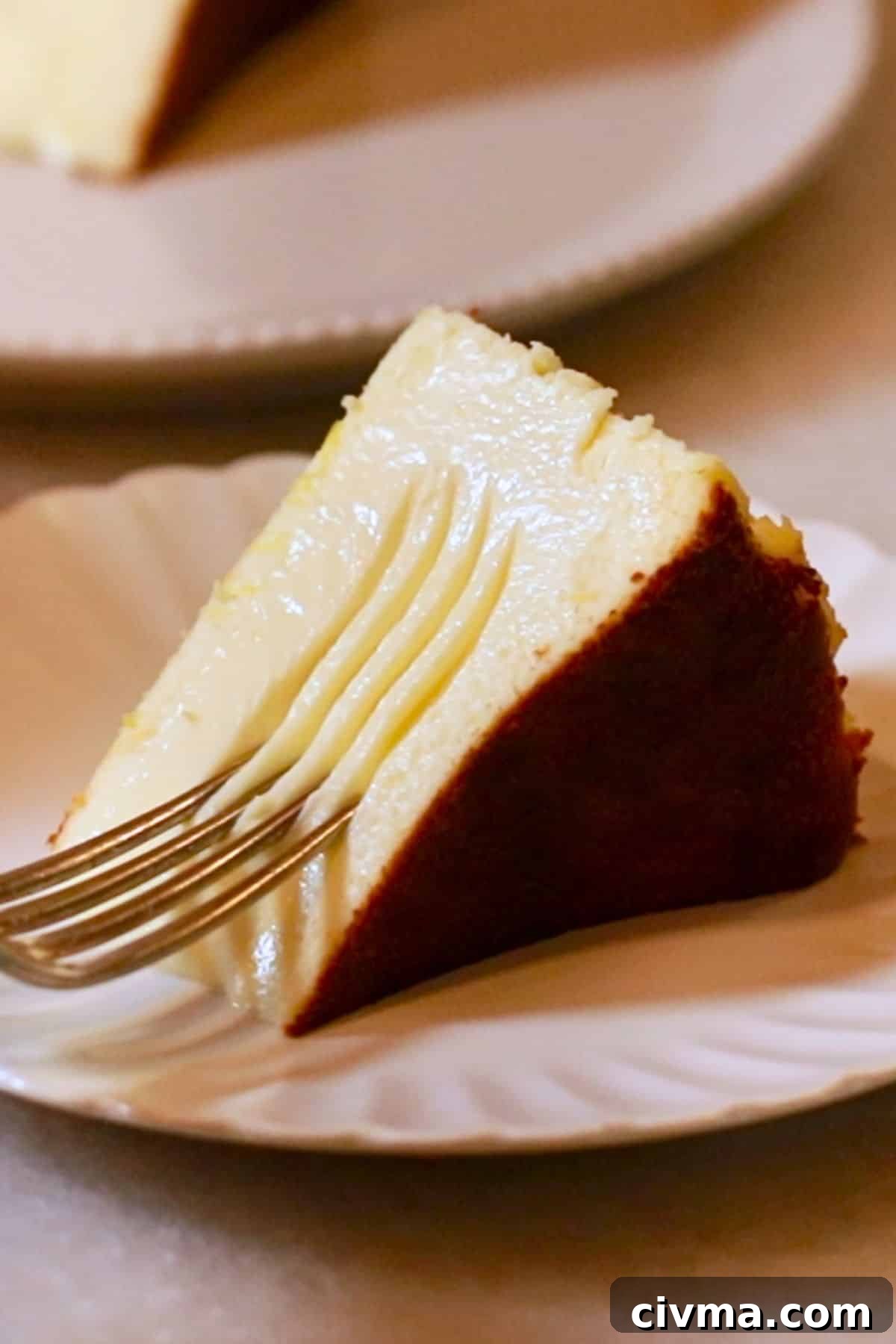 Basque Burnt Cheesecake Recipe 3 a slice of Basque cheesecake with a fork